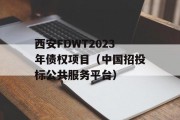 西安FDWT2023年债权项目（中国招投标公共服务平台）