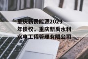 重庆新禹能源2023年债权，重庆新禹水利水电工程管理有限公司