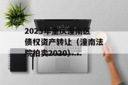2023年重庆潼南区债权资产转让（潼南法院拍卖2020）