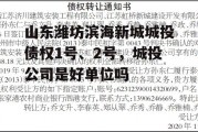 山东潍坊滨海新城城投债权1号、2号，城投公司是好单位吗