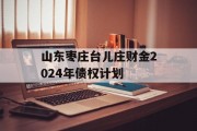 山东枣庄台儿庄财金2024年债权计划