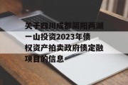 关于四川成都简阳两湖一山投资2023年债权资产拍卖政府债定融项目的信息