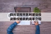 四川资阳市凯利建设投资债权拍卖的简单介绍