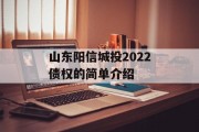 山东阳信城投2022债权的简单介绍