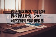 武汉阳逻新港产业投资债权转让计划（2020阳逻新港线最新消息）