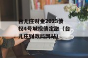 台儿庄财金2023债权4号城投债定融（台儿庄财政局网站）