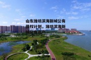 山东潍坊滨海新城公有债权计划，潍坊滨海新城公有资产