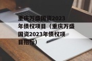 重庆万盛国资2023年债权项目（重庆万盛国资2023年债权项目招标）