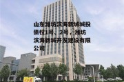 山东潍坊滨海新城城投债权1号、2号，潍坊滨海新城开发建设有限公司