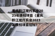 重庆黔江现代农业2023年债权项目（重庆黔江现代农业2023年债权项目招标）
