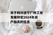 关于四川遂宁广利工业发展特定2024年资产拍卖的信息