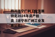 四川遂宁广利工业发展特定2024年资产拍卖（遂宁市广利工业发展公司）