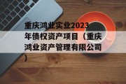 重庆鸿业实业2023年债权资产项目（重庆鸿业资产管理有限公司）