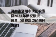 河南省洛阳市汝阳农发投2024年债权融资项目（债权融资的四种方式）