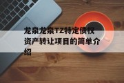 龙泉龙泉TZ特定债权资产转让项目的简单介绍