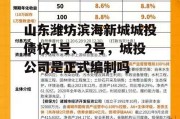 山东潍坊滨海新城城投债权1号、2号，城投公司是正式编制吗
