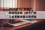 2024遂宁广利资产收益权定融（遂宁广利工业发展有限公司评级报告）