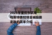 2023年重庆市武隆喀斯特债权项目城投债定融的简单介绍