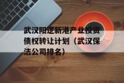 武汉阳逻新港产业投资债权转让计划（武汉保洁公司排名）