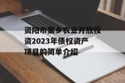 资阳市蜀乡农业开放投资2023年债权资产项目的简单介绍