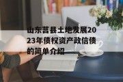 山东莒县土地发展2023年债权资产政信债的简单介绍