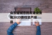 山东邹城市利民建设发展2023债权资产项目