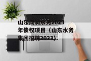 山东晟润水务2023年债权项目（山东水务集团招聘2023）