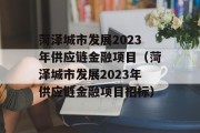 菏泽城市发展2023年供应链金融项目（菏泽城市发展2023年供应链金融项目招标）