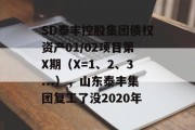 SD泰丰控股集团债权资产01/02项目第X期（X=1、2、3...），山东泰丰集团复工了没2020年