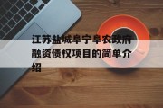 江苏盐城阜宁阜农政府融资债权项目的简单介绍