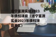 遂宁富源实业2023年债权项目（遂宁富源实业2023年债权项目开工）