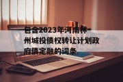 包含2023年河南林州城投债权转让计划政府债定融的词条