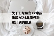 关于山东鱼台XY水韵雅居2024年债权融资计划的信息
