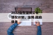 2022山东淄博公有债权计划，淄博 政府债务