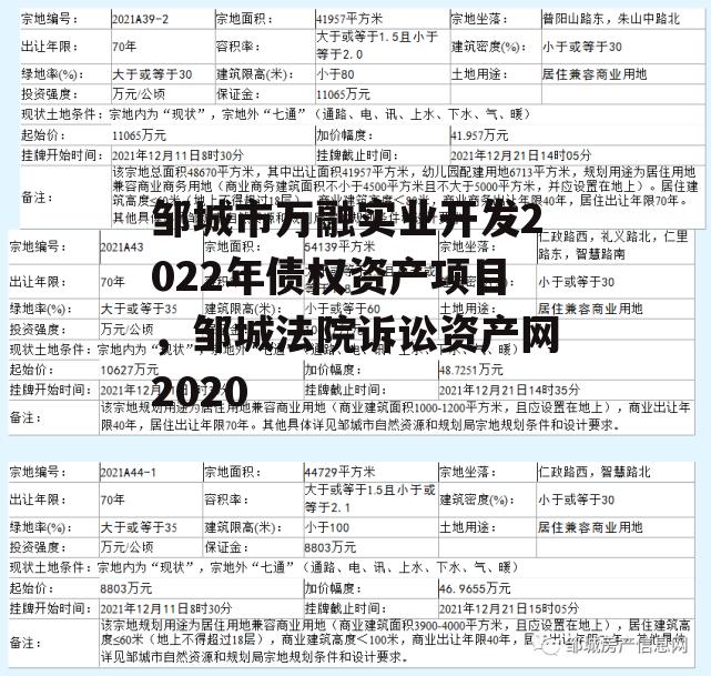 邹城市万融实业开发2022年债权资产项目，邹城法院诉讼资产网2020