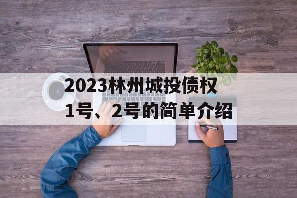 2023林州城投债权1号、2号的简单介绍