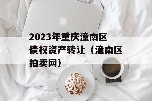 2023年重庆潼南区债权资产转让（潼南区拍卖网）