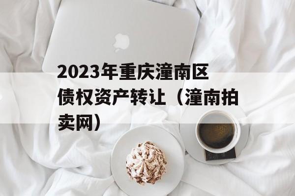 2023年重庆潼南区债权资产转让（潼南拍卖网）